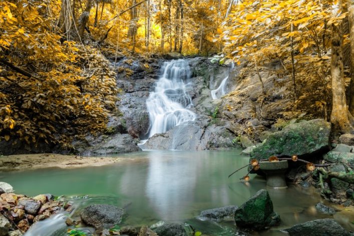 Wasserfall strömt über Felsen und endet in einem ruhigen, grünen Becken. Umgeben von üppigen, goldbraunen Bäumen, die den herbstlichen Eindruck verstärken. Moosbedeckte Steine im Vordergrund.