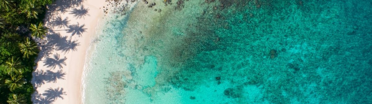 Luftaufnahme eines weißen Sandstrands mit Palmen links, die Schatten auf den Strand werfen. Rechts türkisfarbenes Meer mit dunklen Stellen durch Korallen. Harmonie zwischen Strand und Wasser.