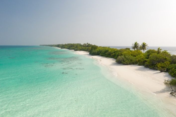 Strahlend blaues Wasser trifft auf einen weißen Sandstrand, gesäumt von Palmen und üppigem Grün, perfekt für Flitterwochen auf den Malediven. Ein tropisches Paradies breitet sich am Horizont aus.
