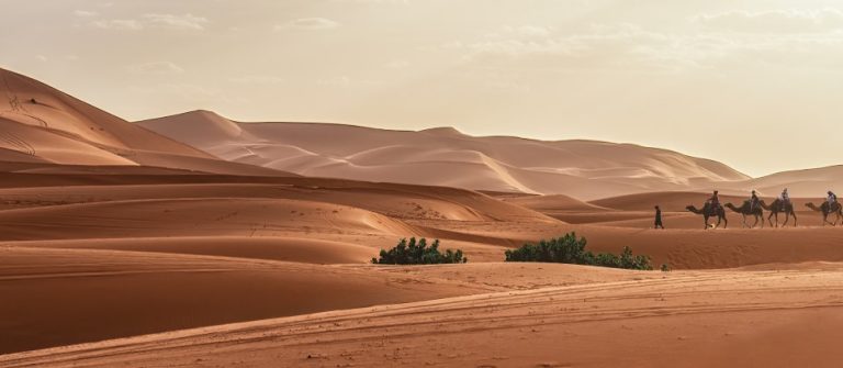 Sanfte, goldene Sanddünen erstrecken sich in der Wüste. Rechts bewegen sich Menschen auf Kamelen. Ein strahlender, milder Himmel rundet das Bild ab.
